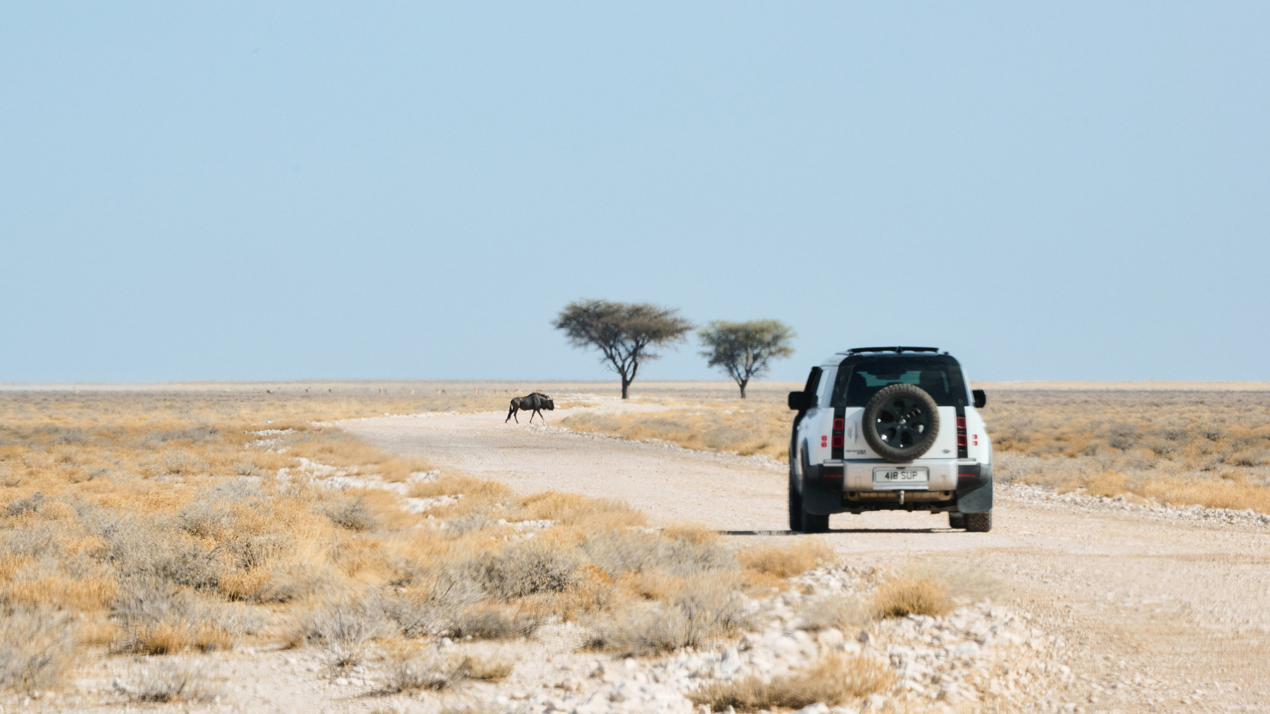 221024_NAMIBIA_L663_DAY02_0917_1
