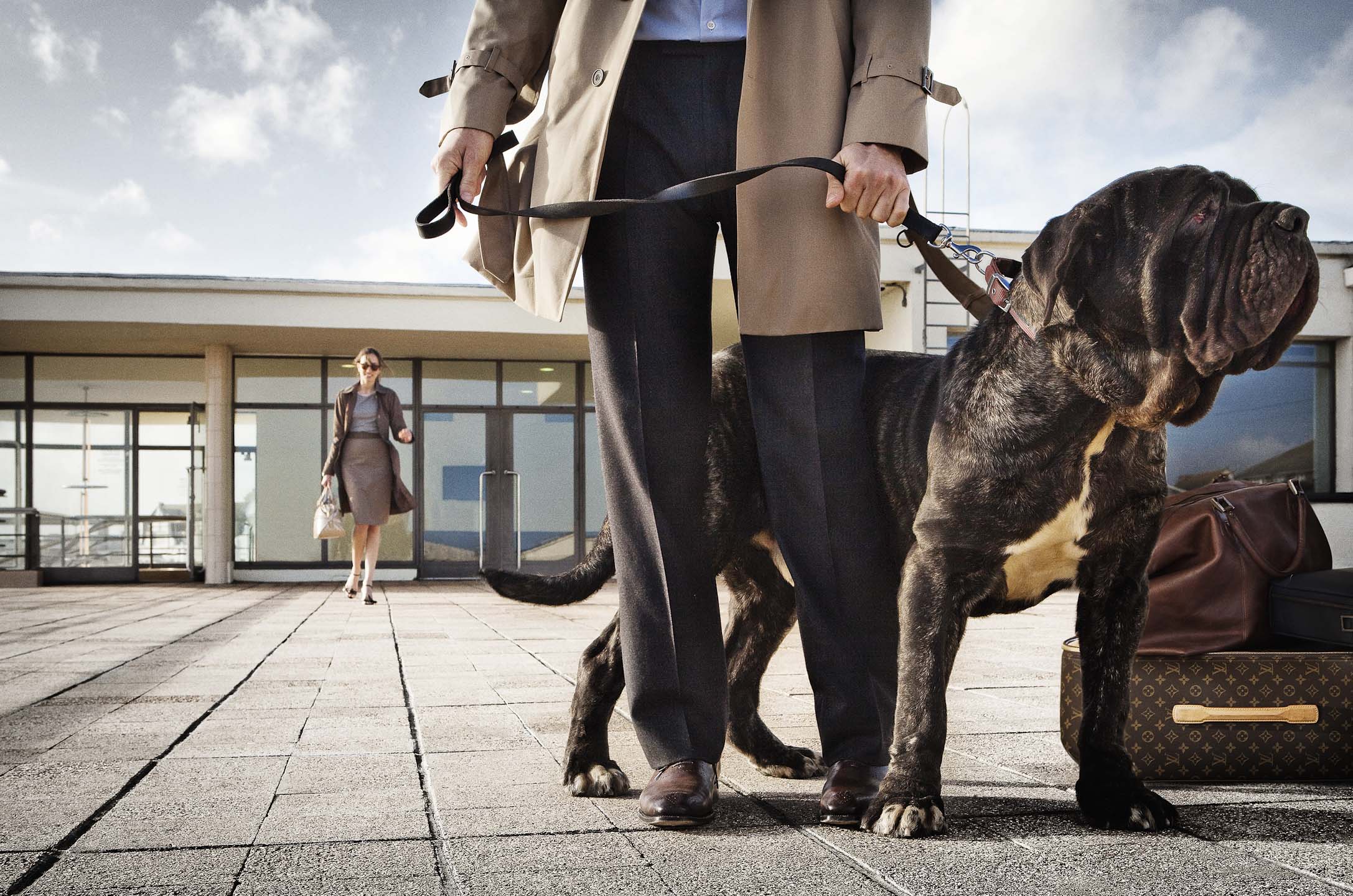 Alex Howe animal dog on leash with owner in wind by Luis Vuitton suitcase