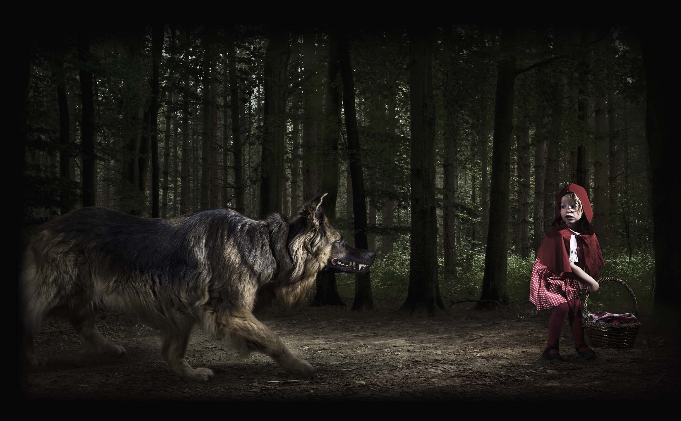 Alex Howe animals little red riding hood with wolf in dark forest