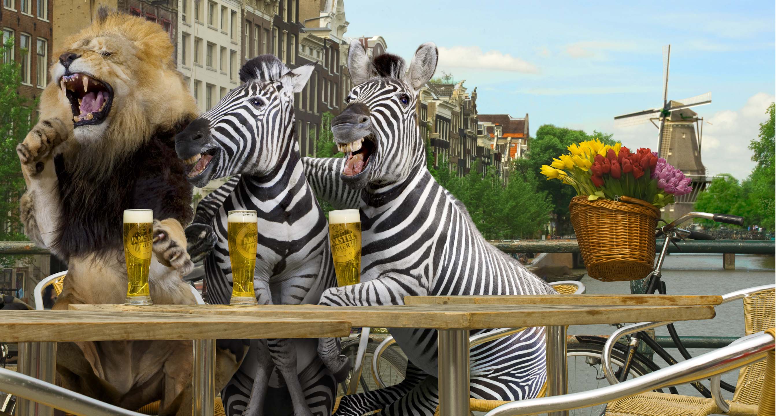 Alex Howe animal lion and zebra sharing pint in Amsterdam Holland by river laughing hunter prey friend