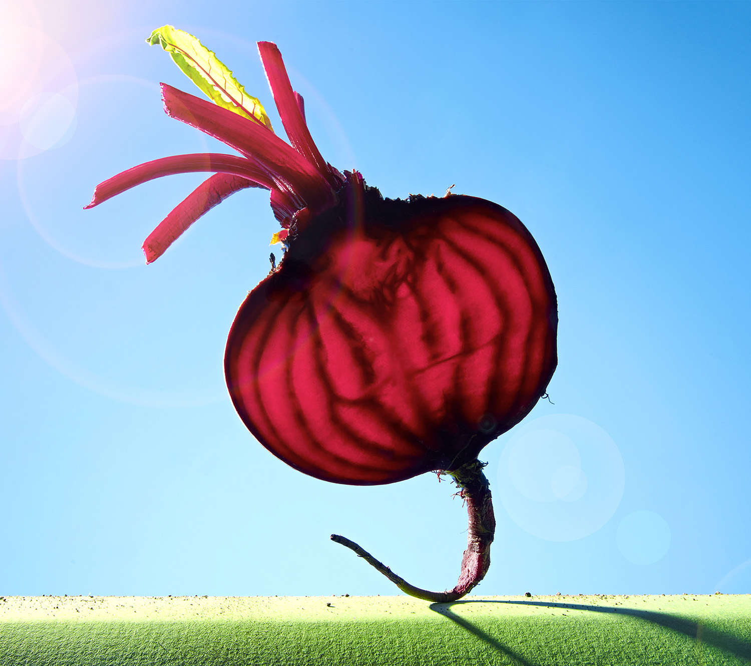 Beetroottwoweb