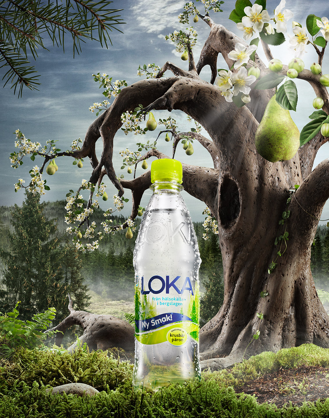 LOKA_Pear