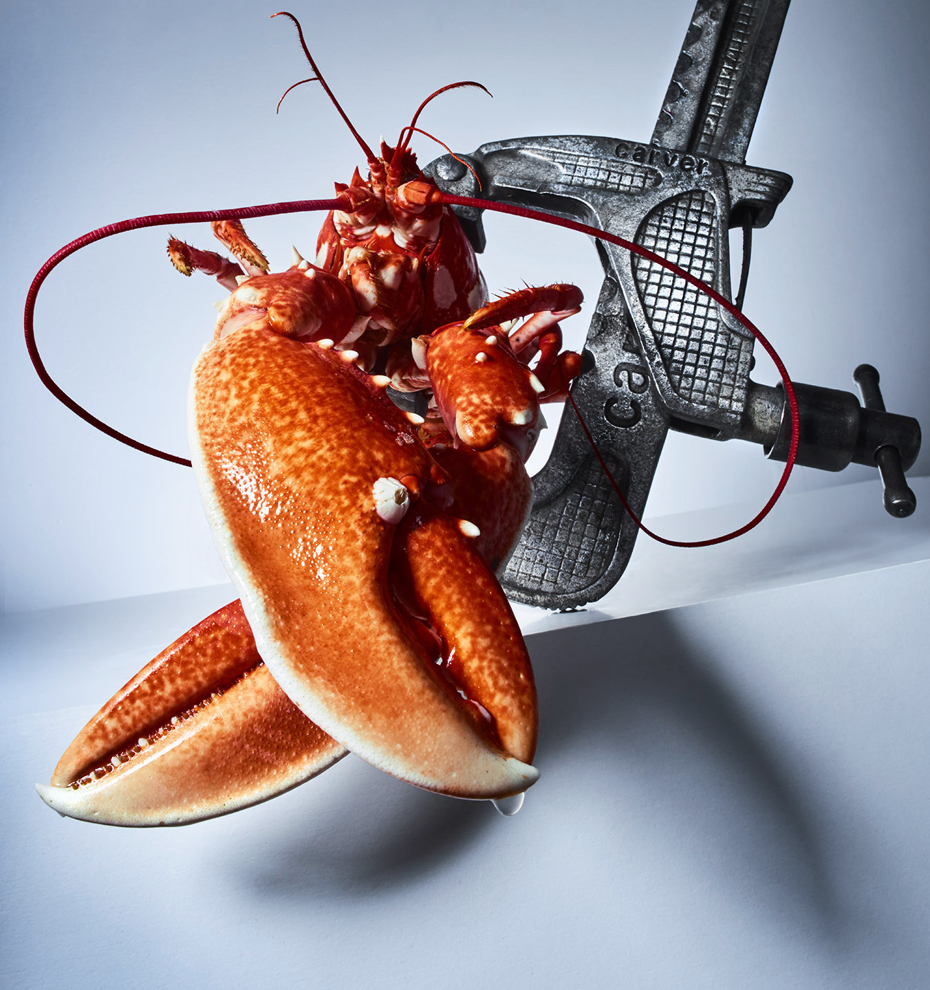 Lobster1577fin007cweb