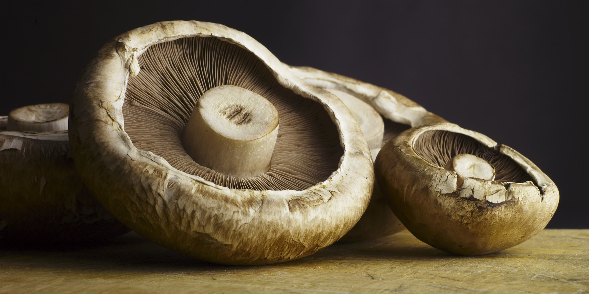 Mushrooms fin 002.jpg
