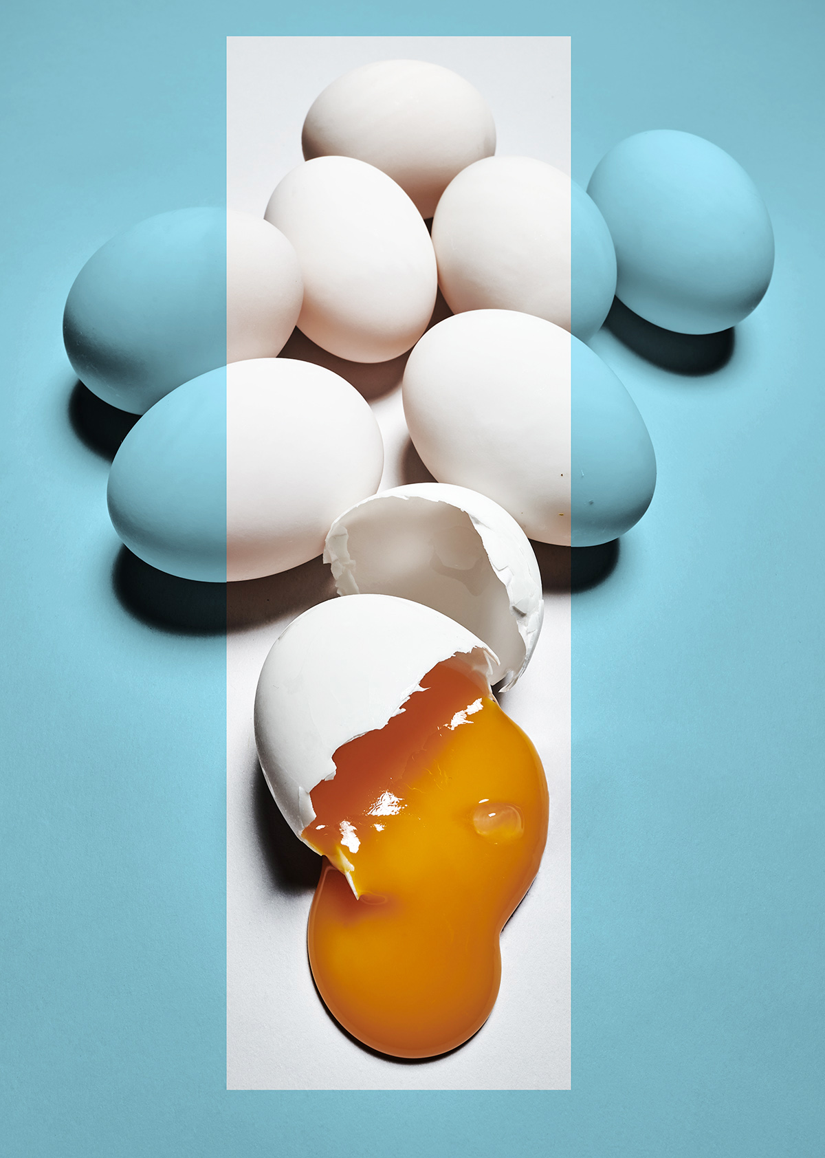 Yelloweggs10104FINFlat003c